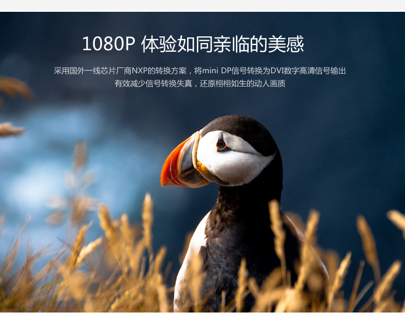 ugreen绿联-更专业更安心的数码品牌